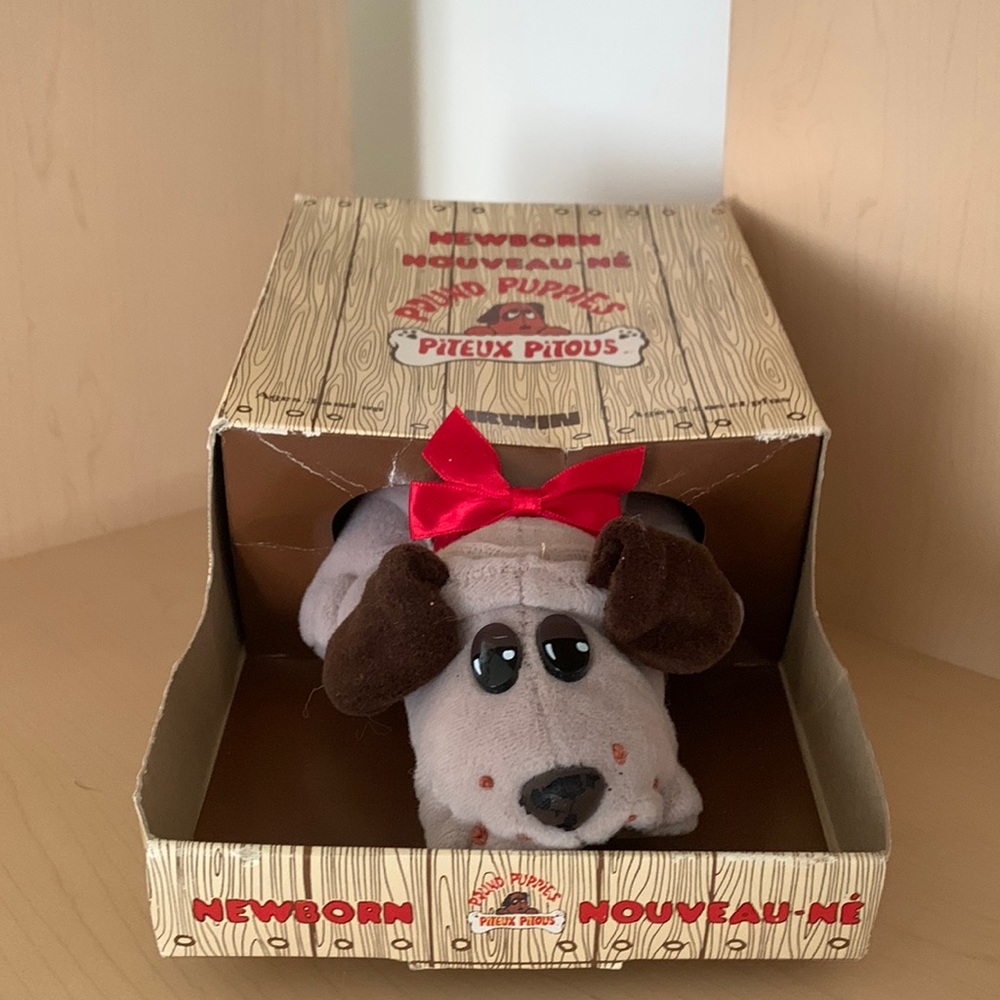 Pound Puppies Irwin Newborn No. 70 Original Box Included - Vintage 1986